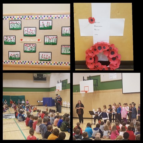 thumbnail_IMG_2018-11-10_16-18-21