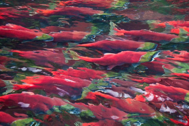 5438293404_561cebc9c5_b[1]